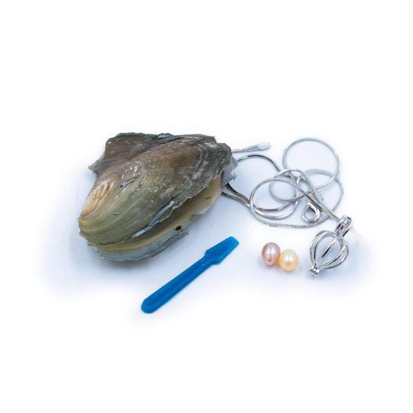 Enchanted Pearl Jewelry - Elegant Hidden Gem Collection
