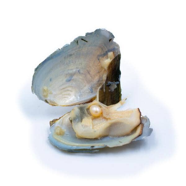 Enchanted Pearl Jewelry - Elegant Hidden Gem Collection