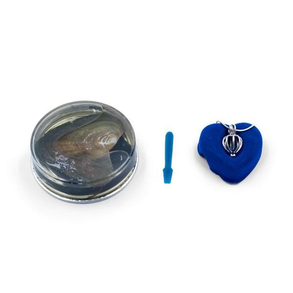 Enchanted Pearl Jewelry - Elegant Hidden Gem Collection