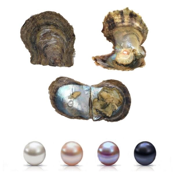 Enchanted Pearl Jewelry - Elegant Hidden Gem Collection